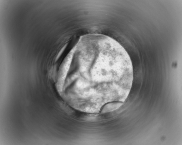 X0000101960090200808151325