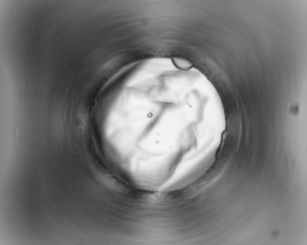X0000101960092200808151325