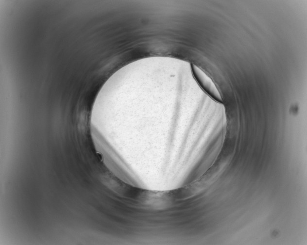 X0000101960093200808151325