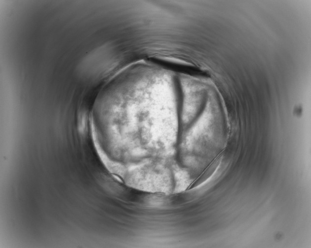 X0000101960094200808151325