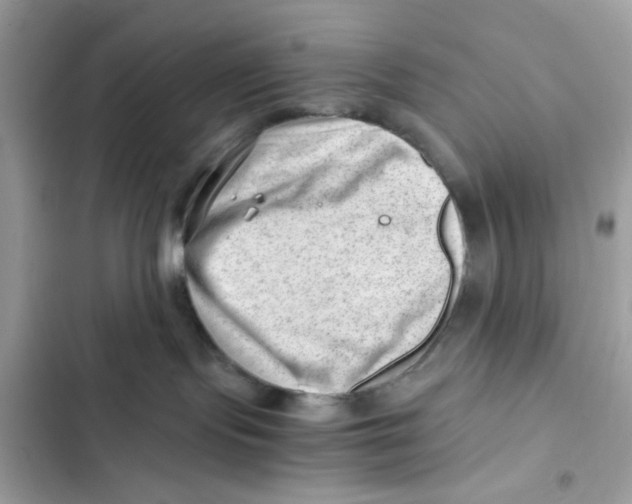 X0000101960095200808151325