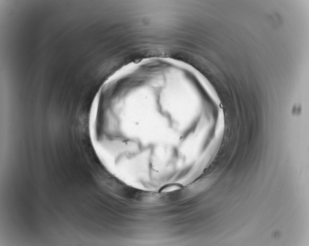 X0000101960096200808151325