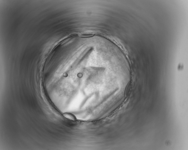 X0000101960097200808151324