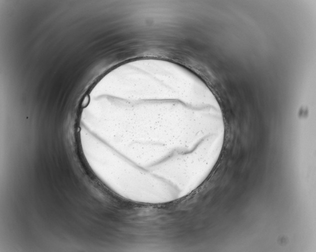 X0000101960098200808151324