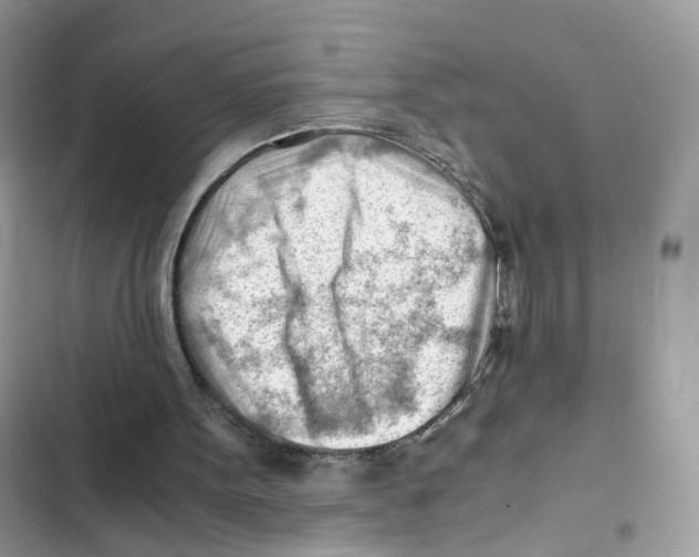 X0000101960099200808151324