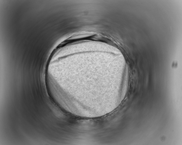 X0000101960100200808151324
