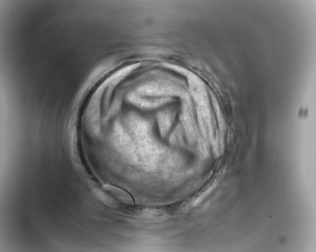 X0000101960101200808151324