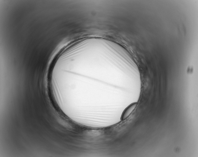 X0000101960102200808151324