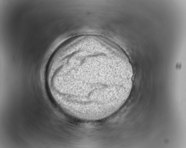 X0000101960103200808151324