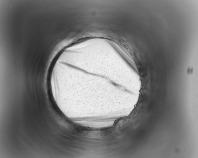 X0000101960104200808151324