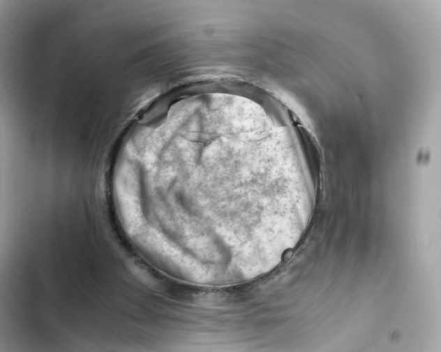 X0000101960105200808151324