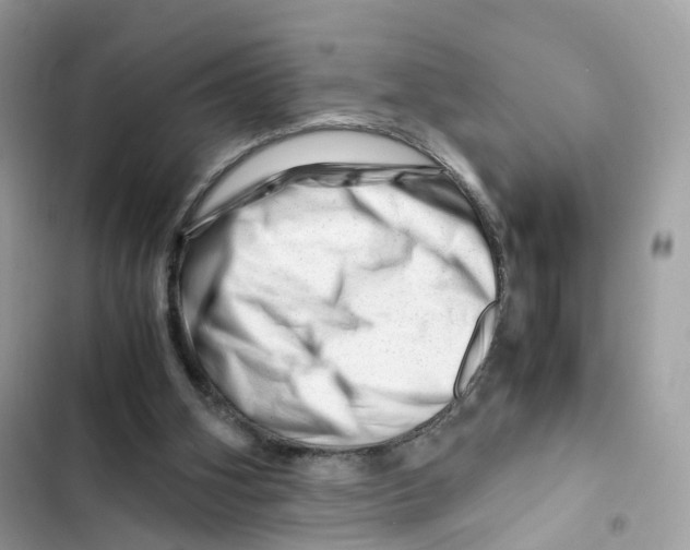X0000101960106200808151324