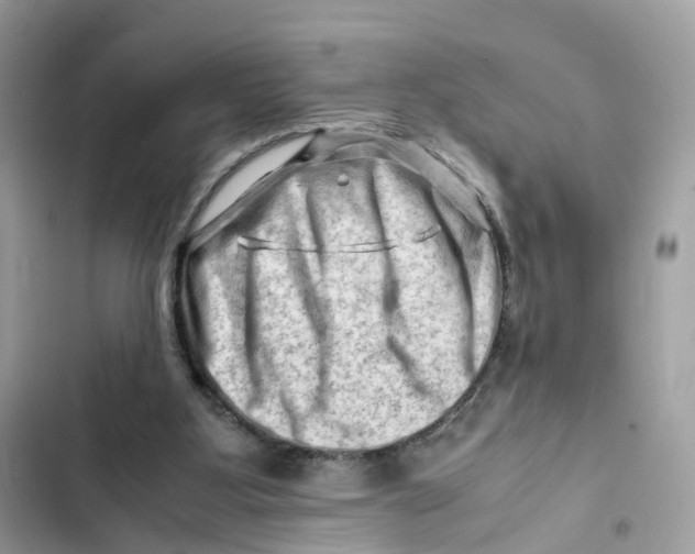 X0000101960107200808151324