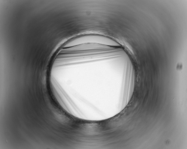 X0000101960108200808151324