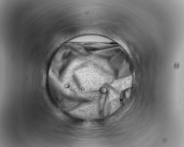 X0000101960109200808151324