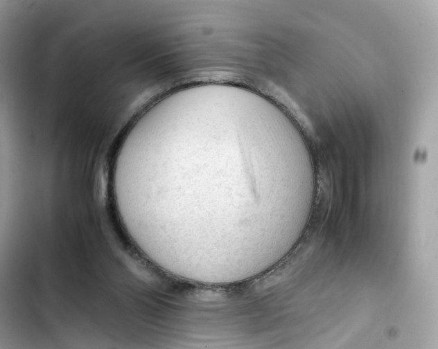 X0000101960110200808151324