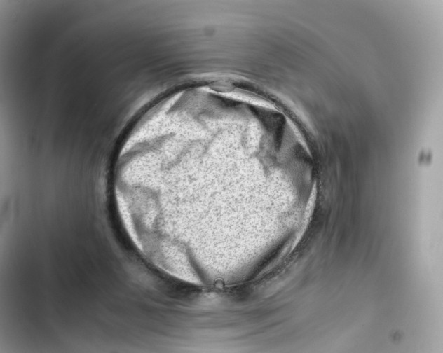 X0000101960111200808151324