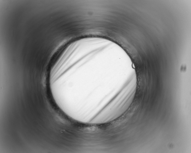 X0000101960112200808151324