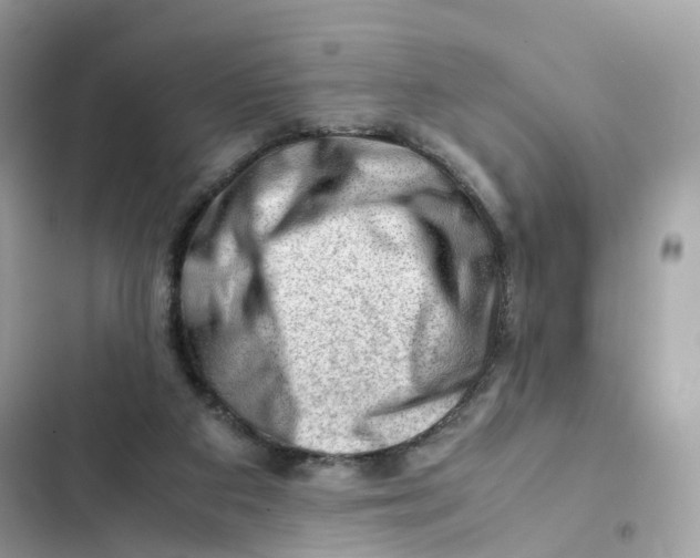 X0000101960113200808151324