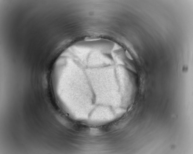 X0000101960114200808151324