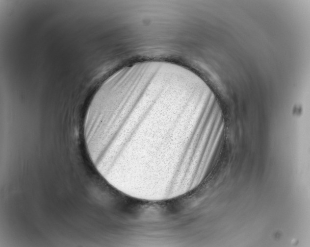 X0000101960115200808151324