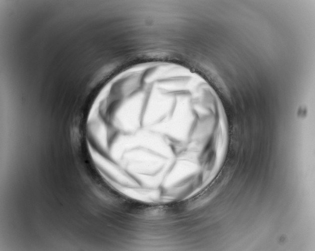 X0000101960116200808151324