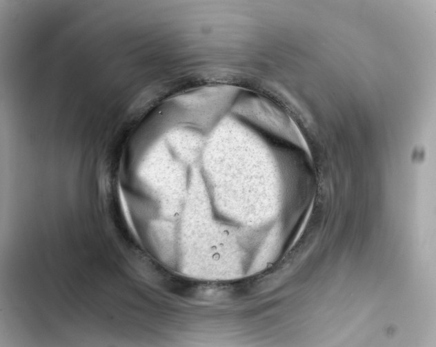 X0000101960117200808151324