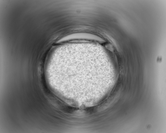 X0000101960119200808151324