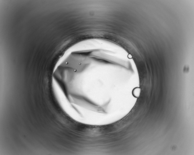 X0000101960120200808151324