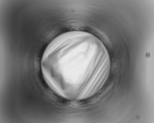 X0000101960121200808151324