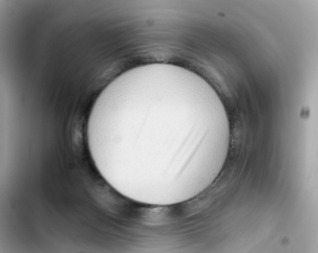 X0000101960122200808151324