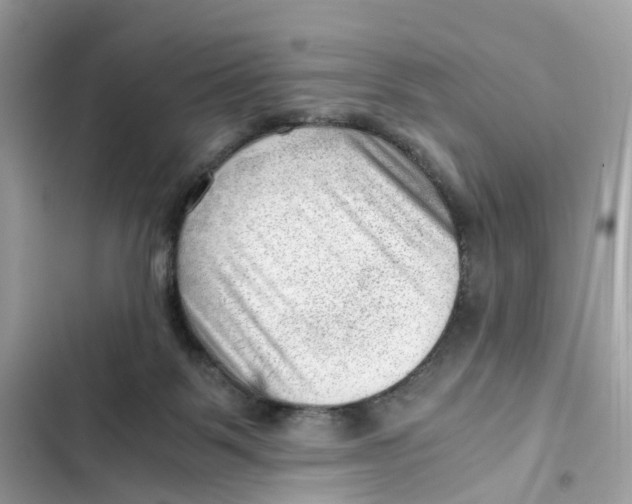 X0000101960123200808151324