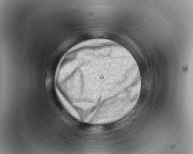 X0000101960124200808151324