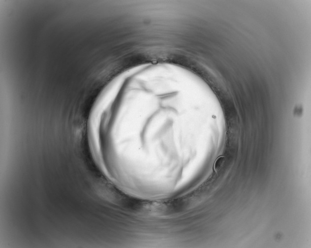 X0000101960125200808151324