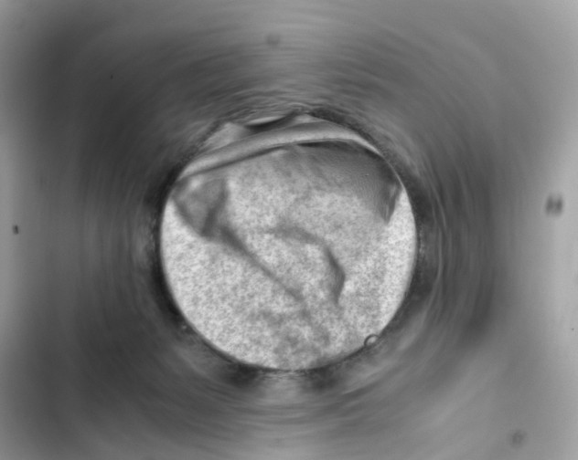 X0000101960127200808151324