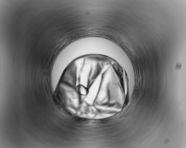 X0000101960128200808151324