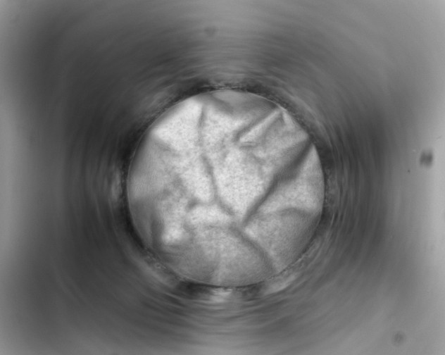X0000101960130200808151324