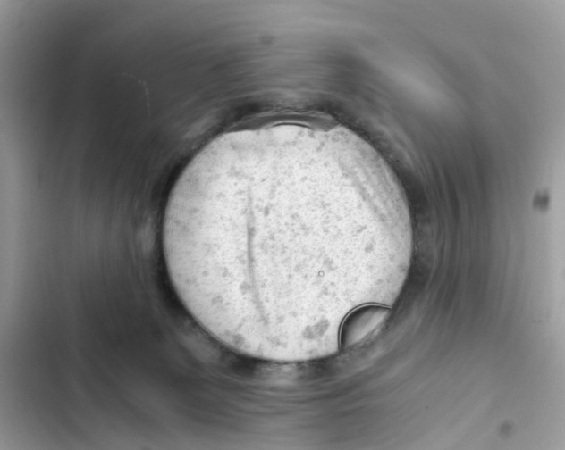 X0000101960131200808151324