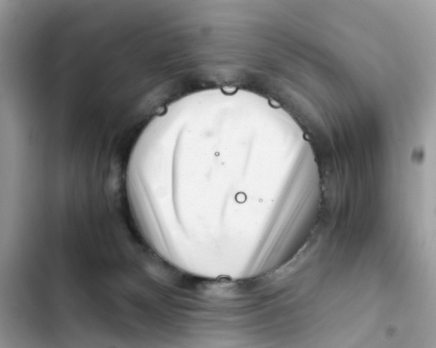 X0000101960132200808151324
