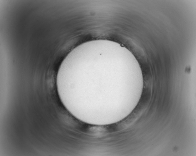 X0000101960133200808151324