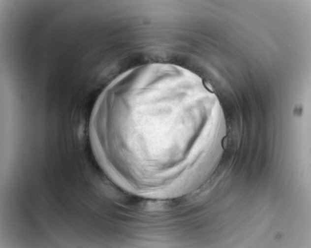 X0000101960134200808151323