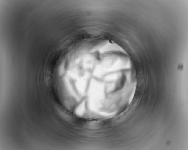 X0000101960136200808151323