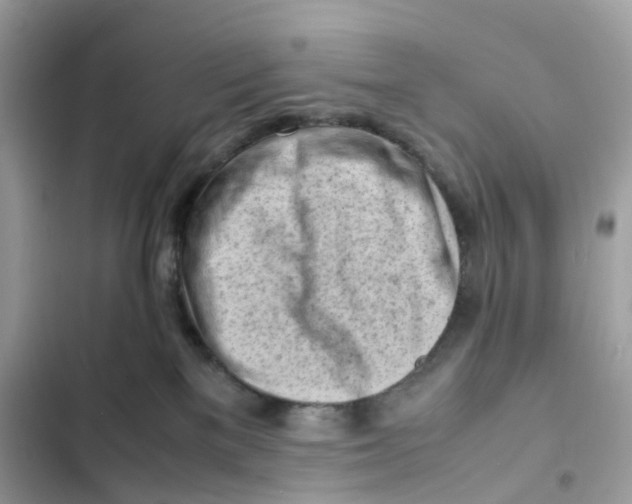 X0000101960137200808151323