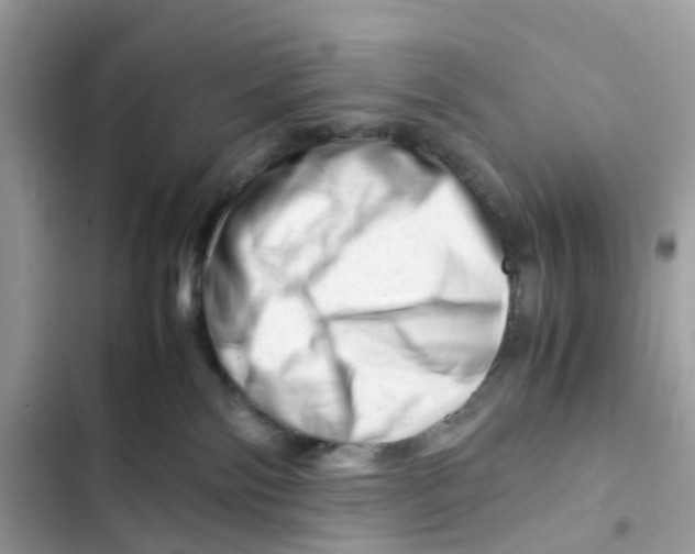 X0000101960138200808151323