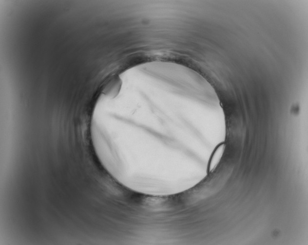 X0000101960139200808151323