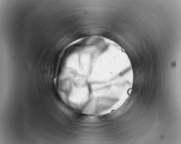 X0000101960140200808151323