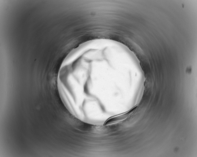 X0000101960141200808151323