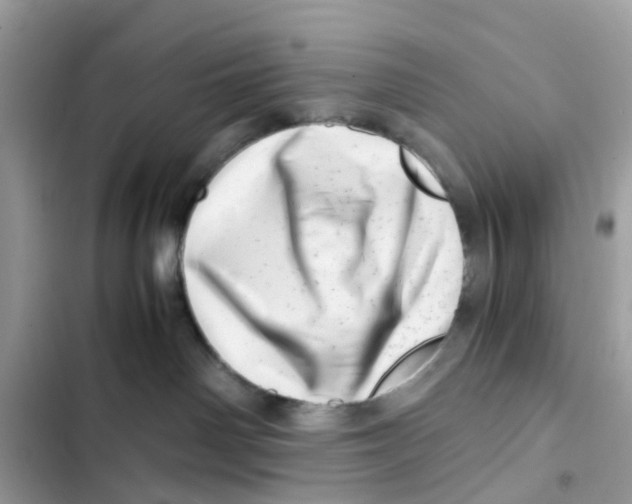 X0000101960142200808151323