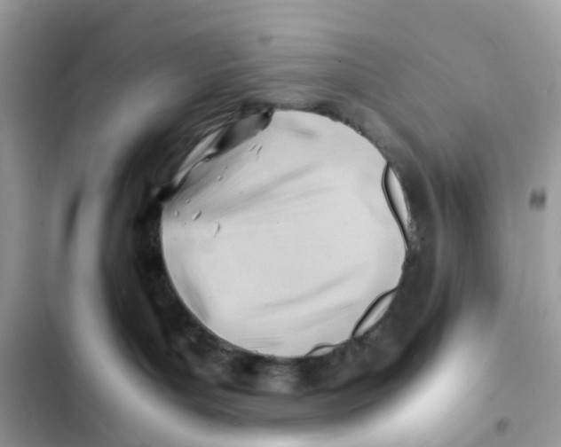 X0000101960143200808151323