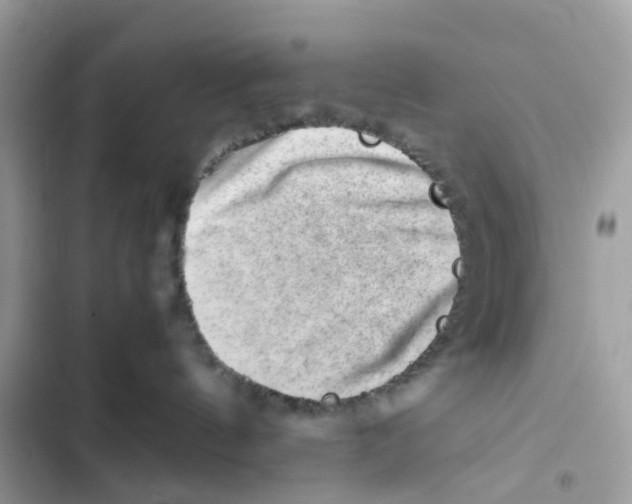 X0000101960144200808151323